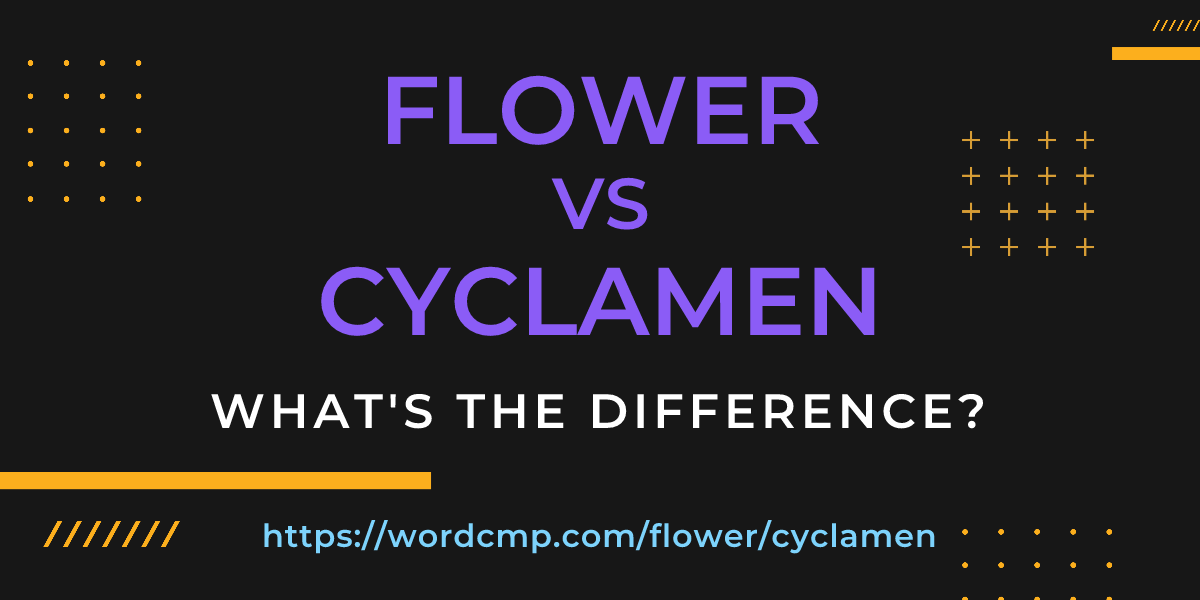 Difference between flower and cyclamen