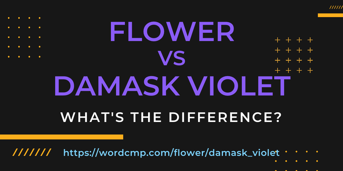 Difference between flower and damask violet