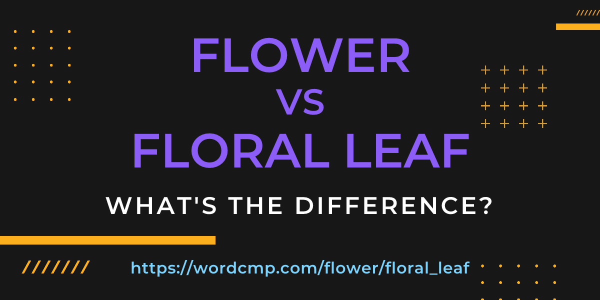 Difference between flower and floral leaf