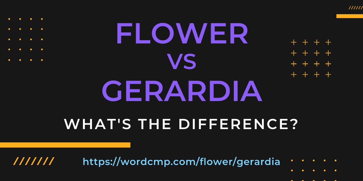 Difference between flower and gerardia