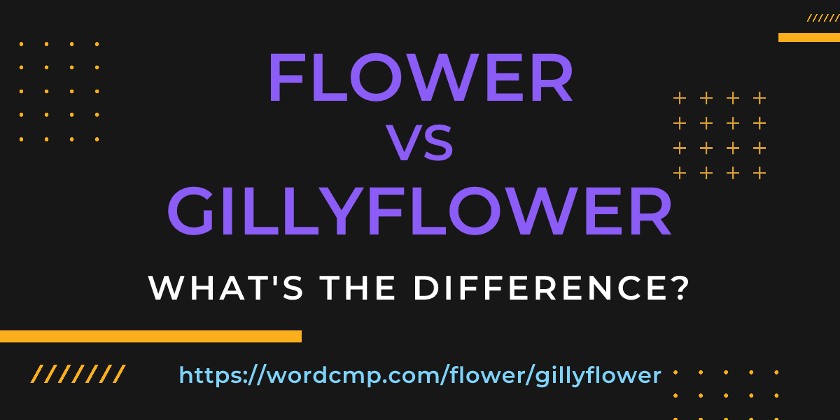 Difference between flower and gillyflower