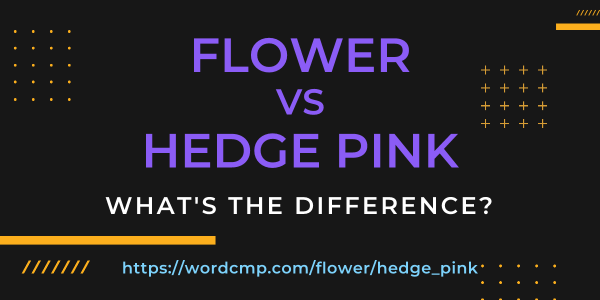 Difference between flower and hedge pink