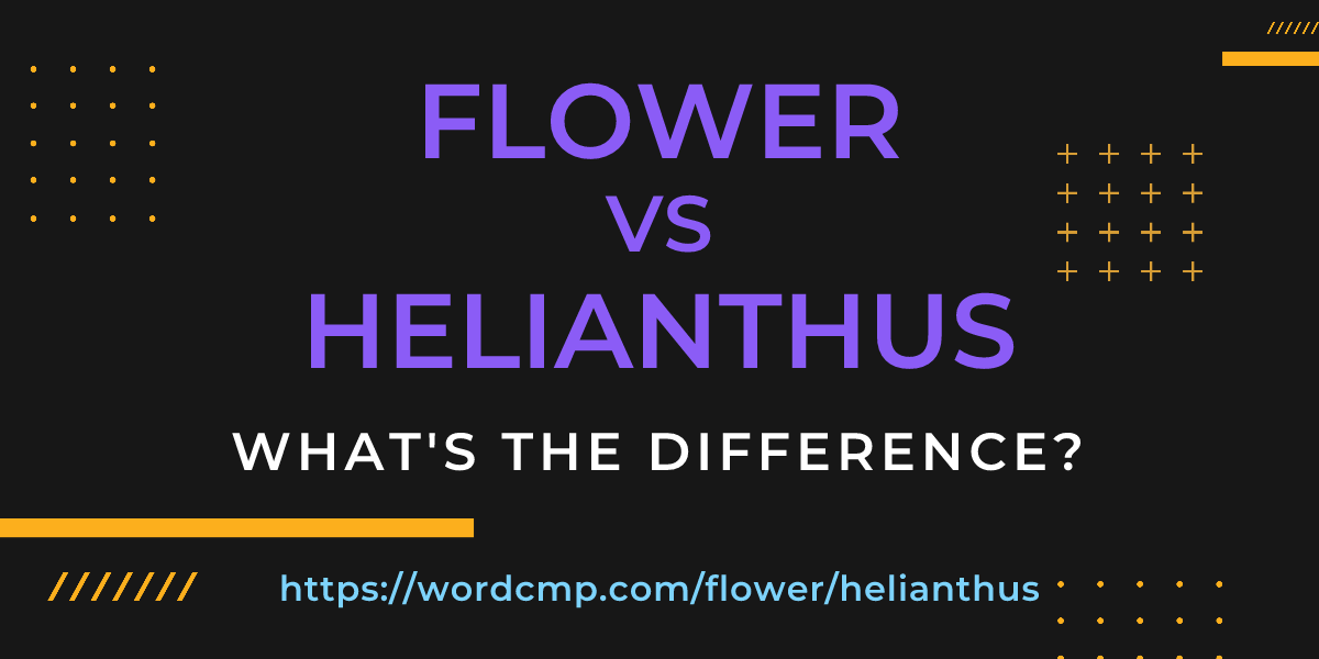 Difference between flower and helianthus