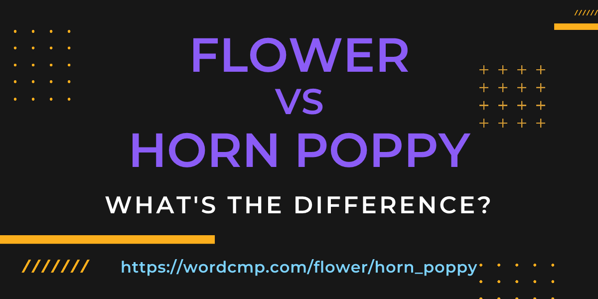 Difference between flower and horn poppy