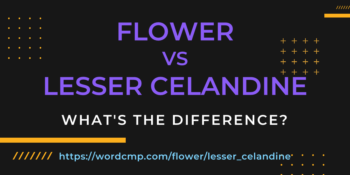 Difference between flower and lesser celandine