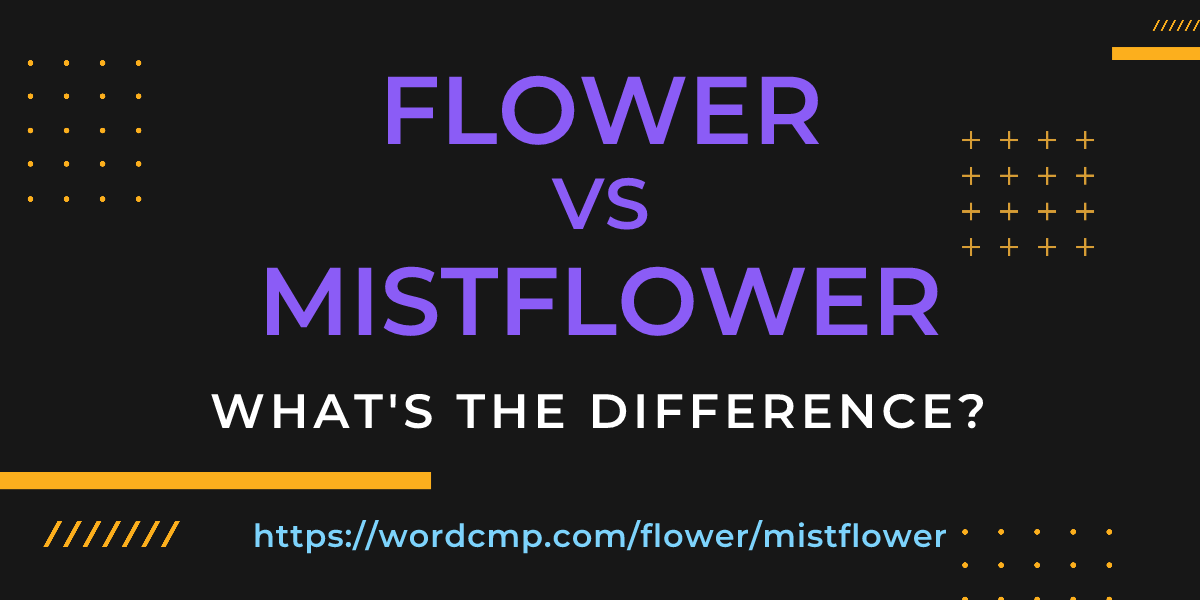 Difference between flower and mistflower
