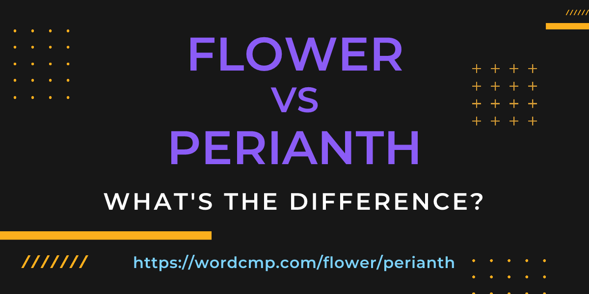 Difference between flower and perianth