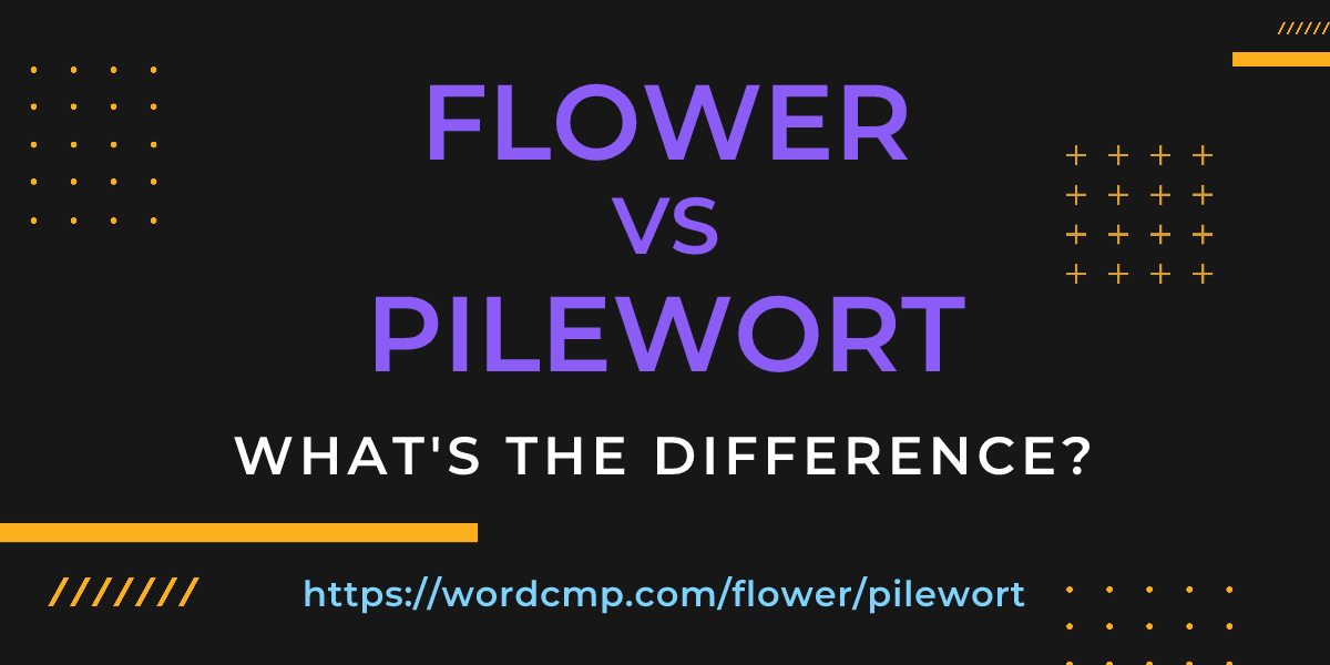 Difference between flower and pilewort