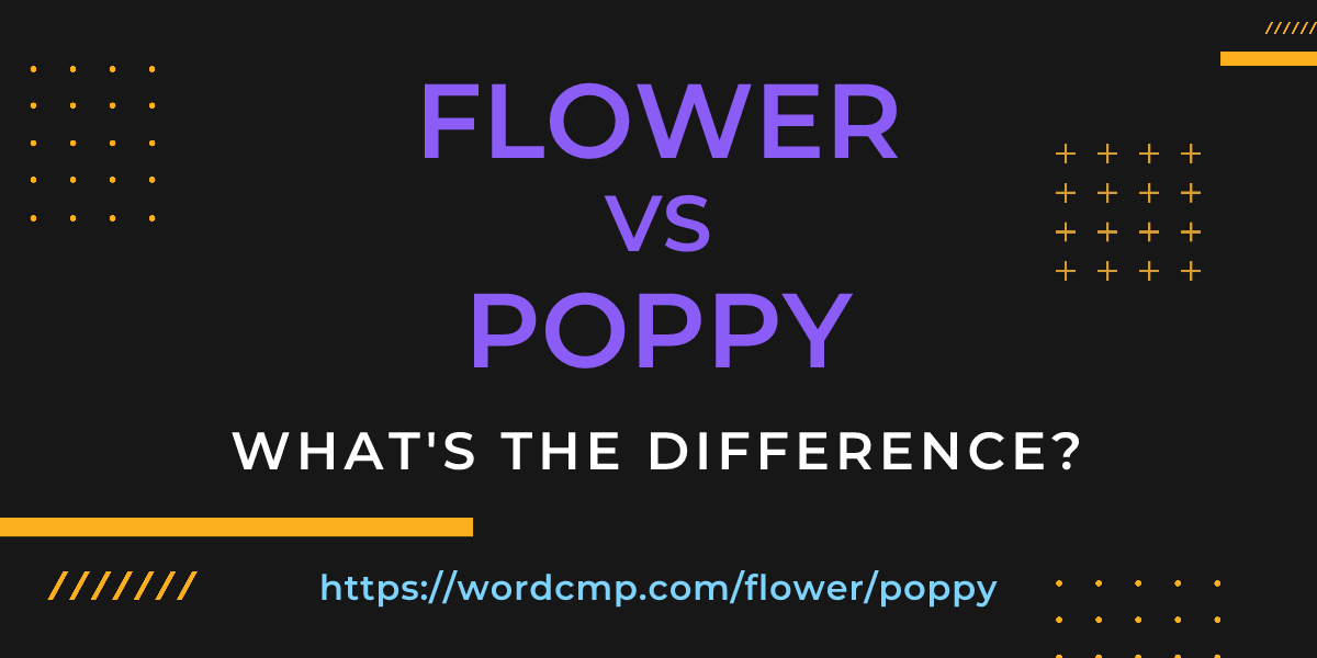 Difference between flower and poppy
