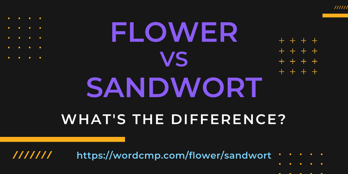 Difference between flower and sandwort