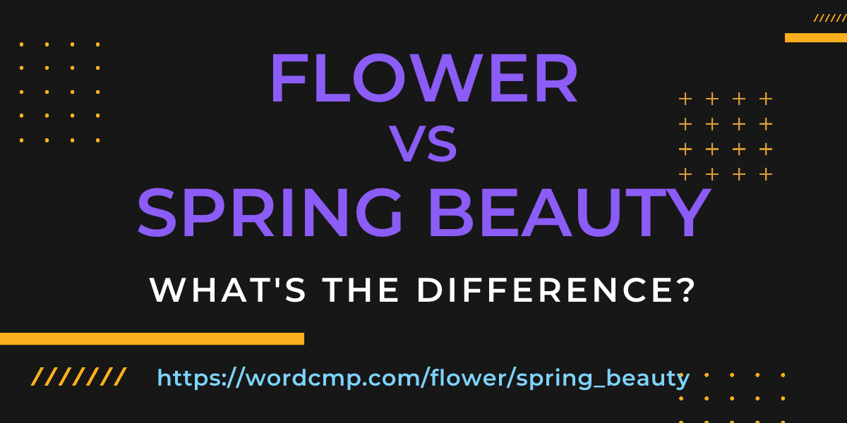 Difference between flower and spring beauty