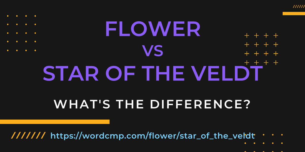 Difference between flower and star of the veldt