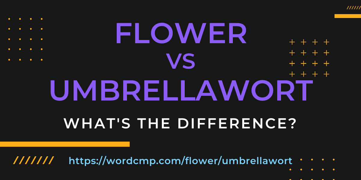 Difference between flower and umbrellawort