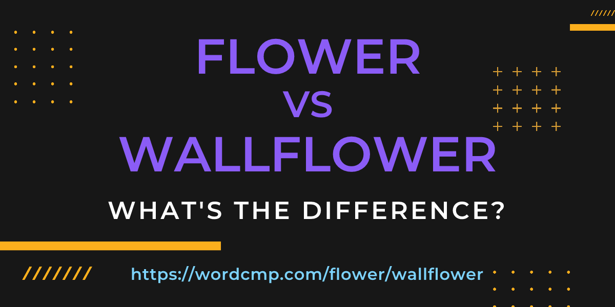 Difference between flower and wallflower