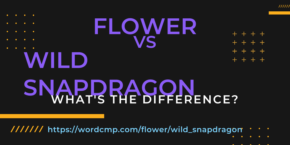 Difference between flower and wild snapdragon
