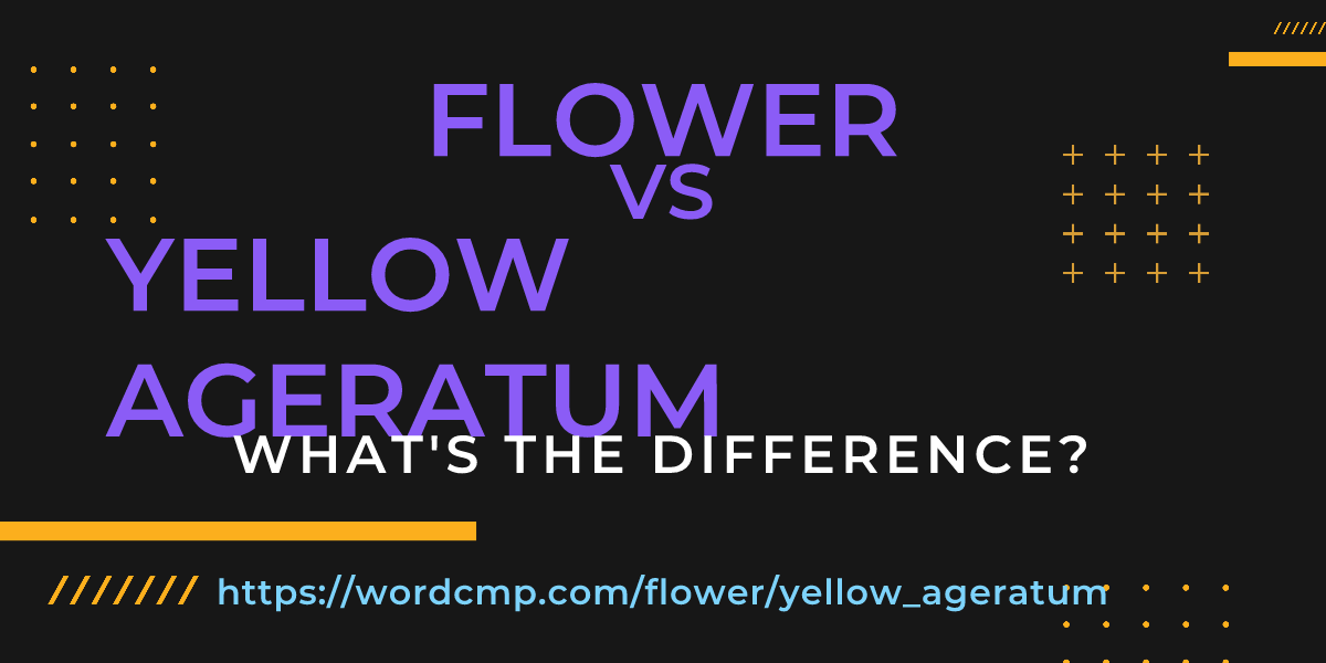 Difference between flower and yellow ageratum