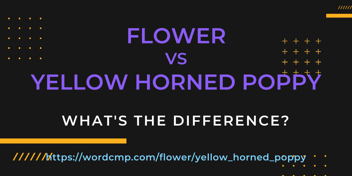 Difference between flower and yellow horned poppy