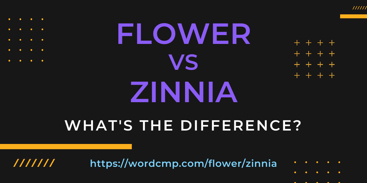Difference between flower and zinnia
