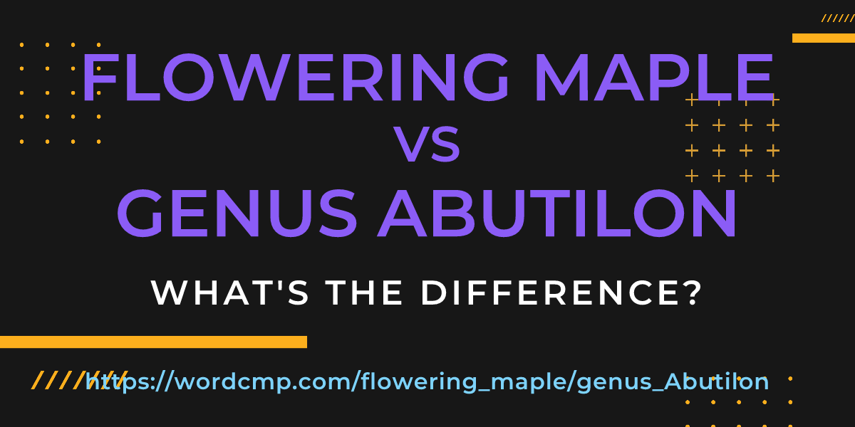 Difference between flowering maple and genus Abutilon