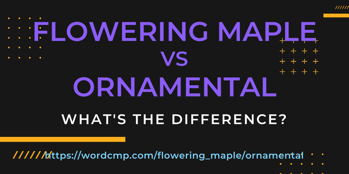 Difference between flowering maple and ornamental