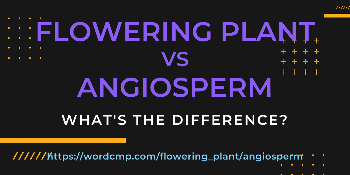 Difference between flowering plant and angiosperm