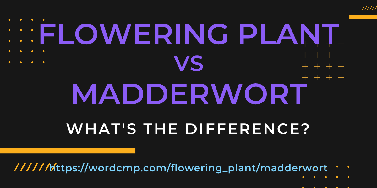 Difference between flowering plant and madderwort
