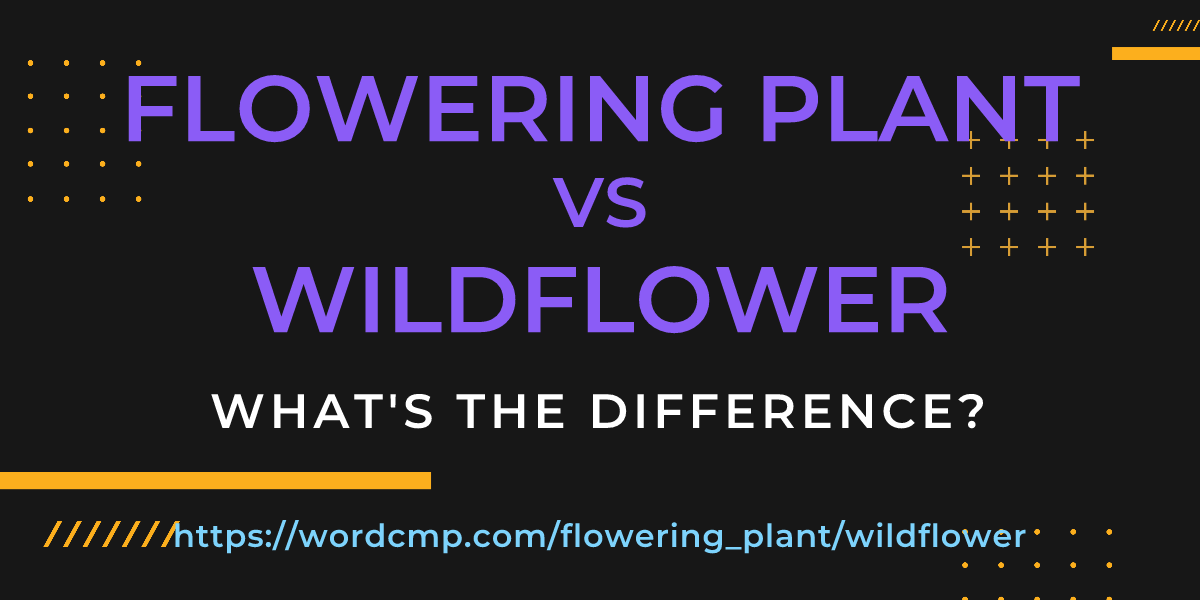 Difference between flowering plant and wildflower