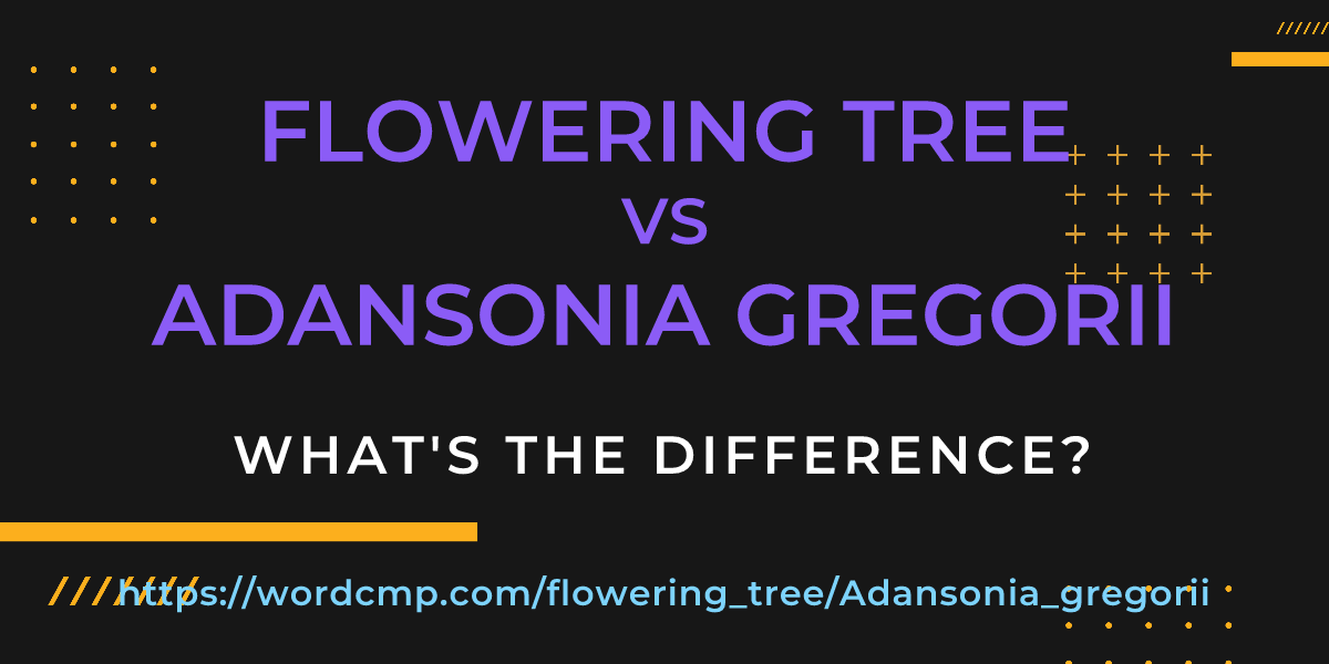 Difference between flowering tree and Adansonia gregorii