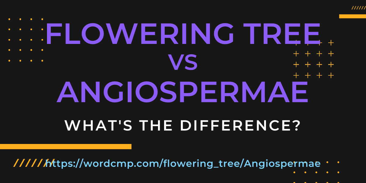 Difference between flowering tree and Angiospermae