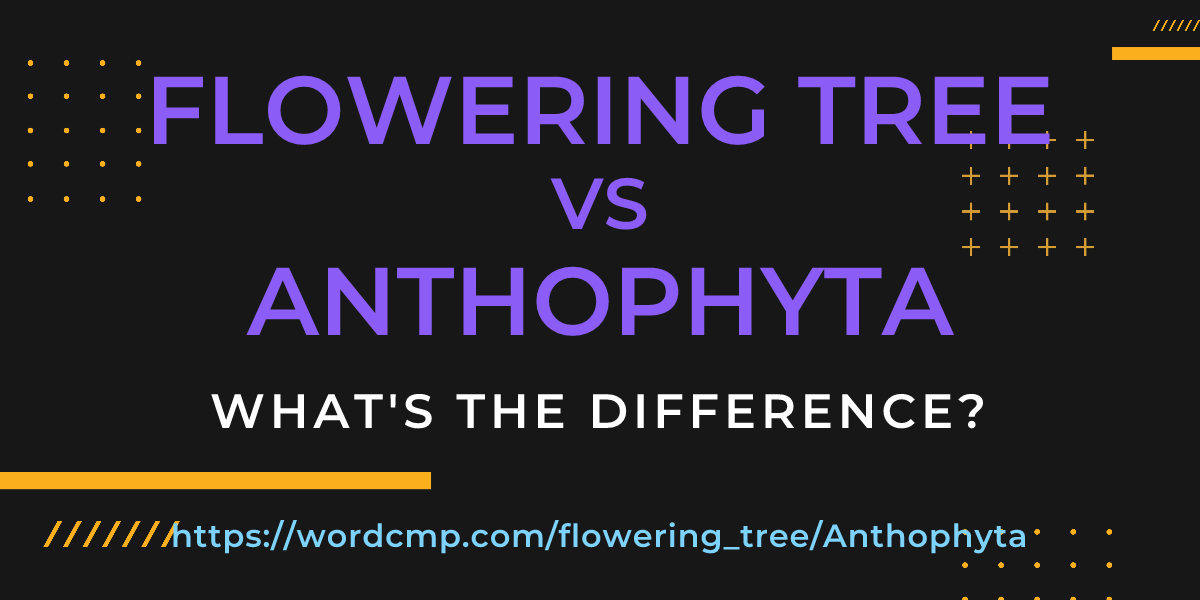 Difference between flowering tree and Anthophyta