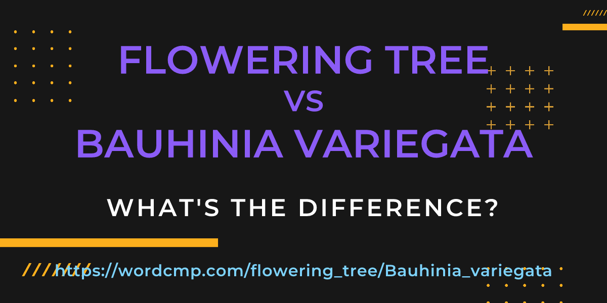 Difference between flowering tree and Bauhinia variegata