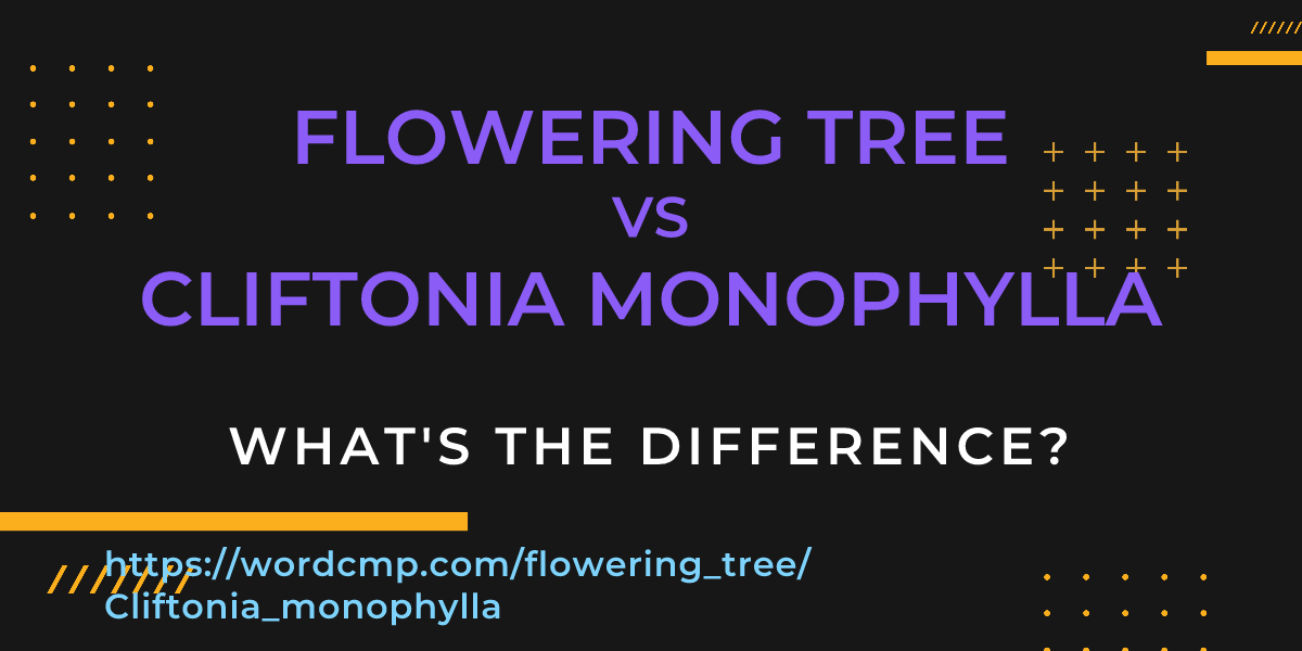Difference between flowering tree and Cliftonia monophylla