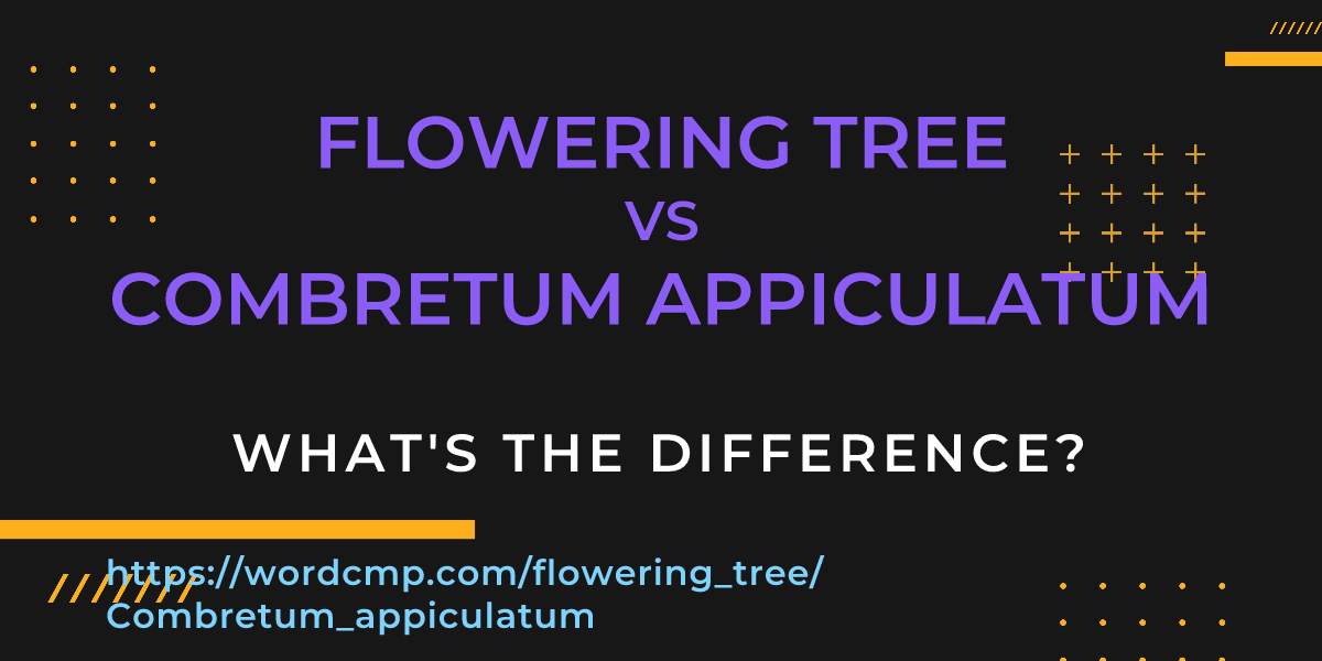 Difference between flowering tree and Combretum appiculatum