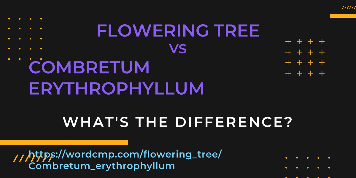 Difference between flowering tree and Combretum erythrophyllum