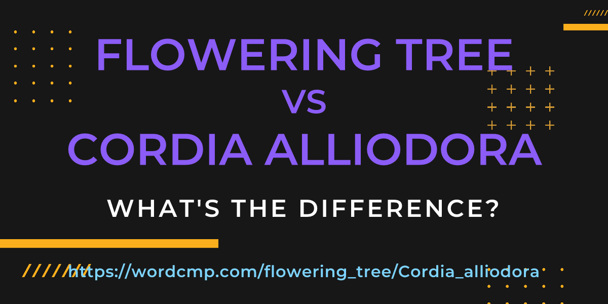 Difference between flowering tree and Cordia alliodora