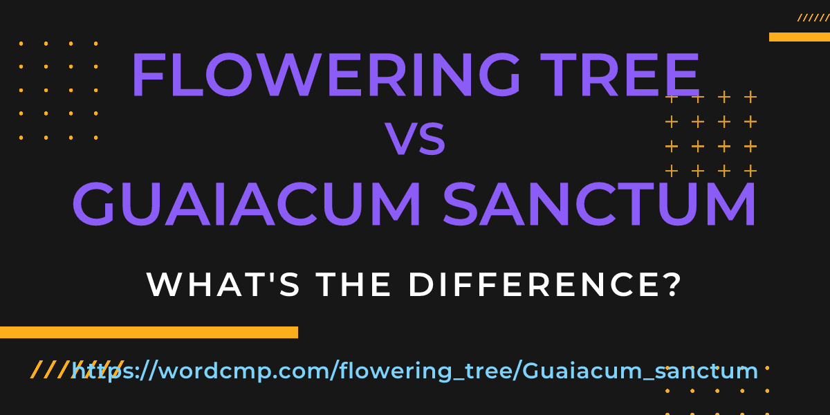 Difference between flowering tree and Guaiacum sanctum