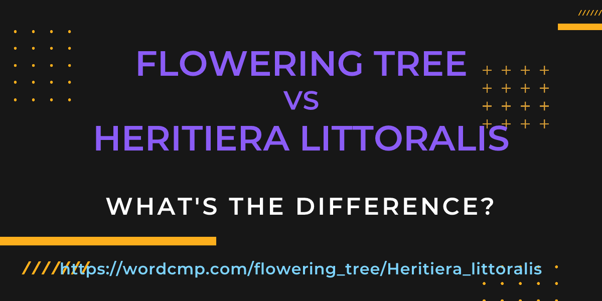 Difference between flowering tree and Heritiera littoralis