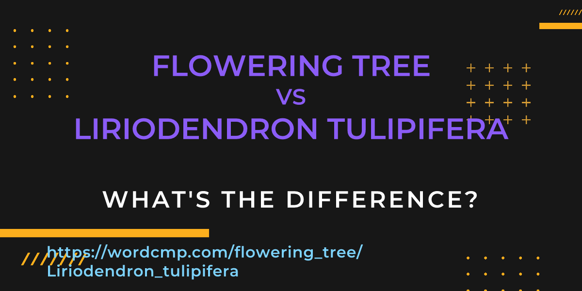 Difference between flowering tree and Liriodendron tulipifera
