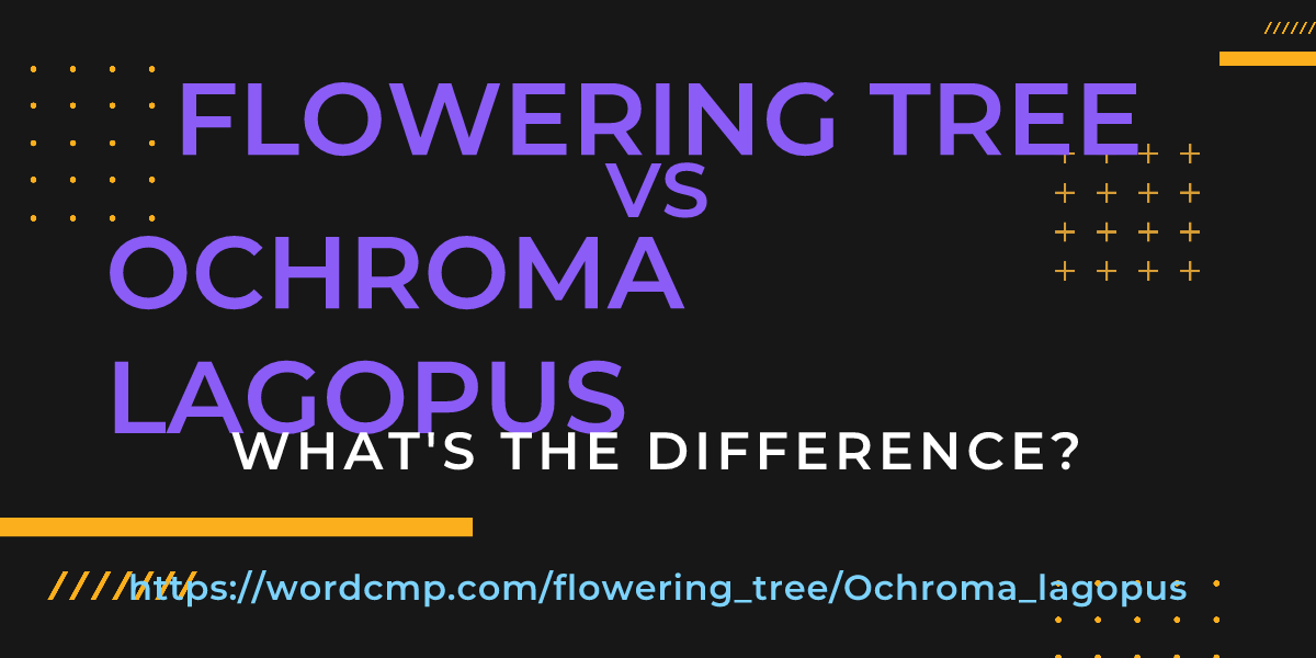Difference between flowering tree and Ochroma lagopus