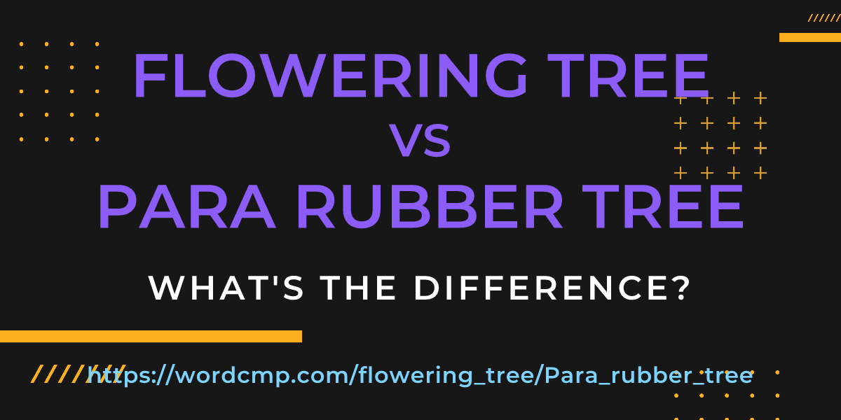 Difference between flowering tree and Para rubber tree