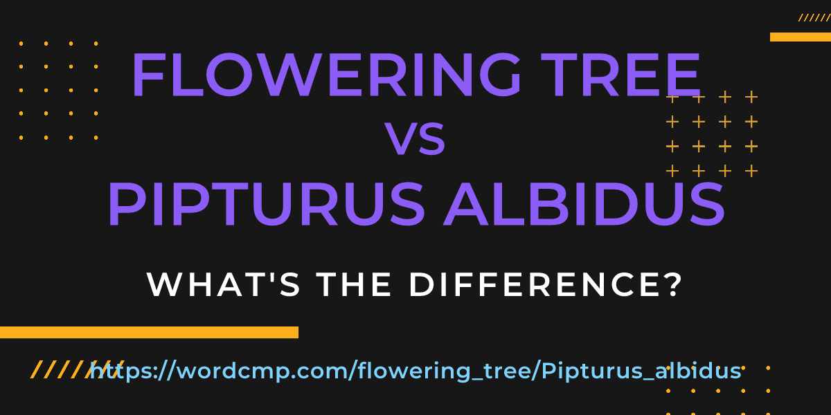Difference between flowering tree and Pipturus albidus