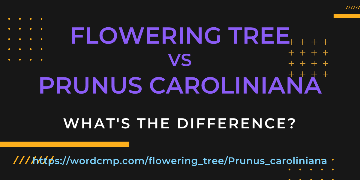 Difference between flowering tree and Prunus caroliniana