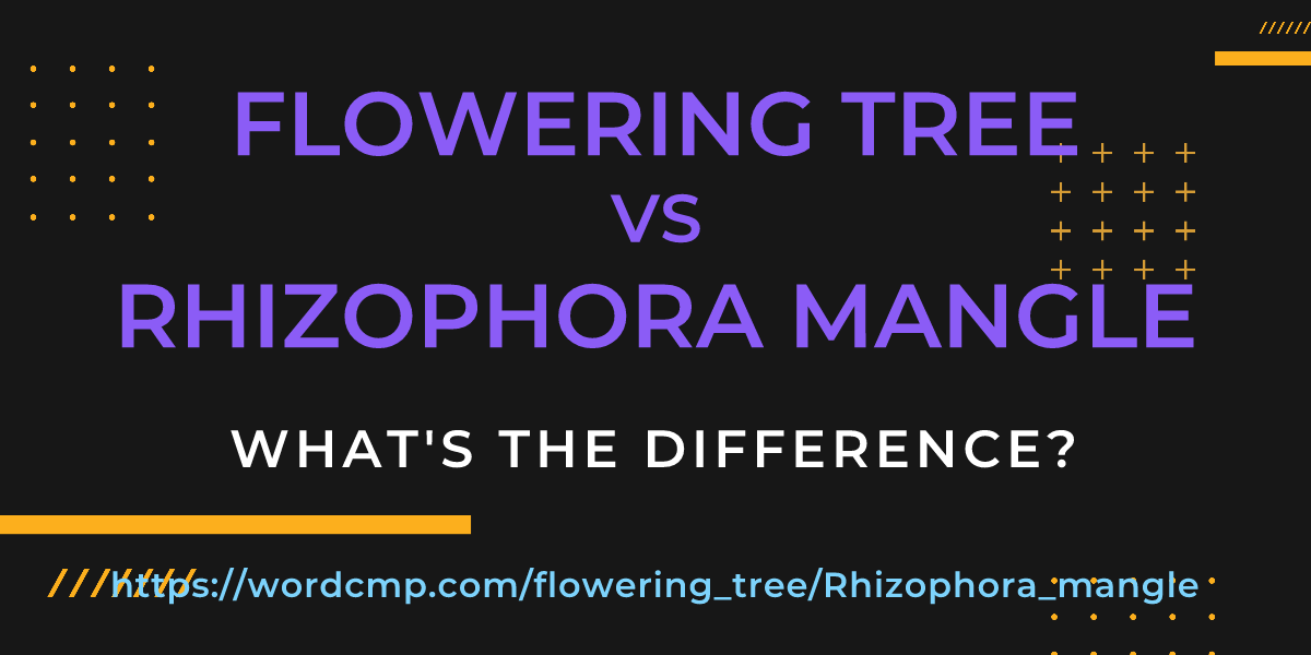 Difference between flowering tree and Rhizophora mangle