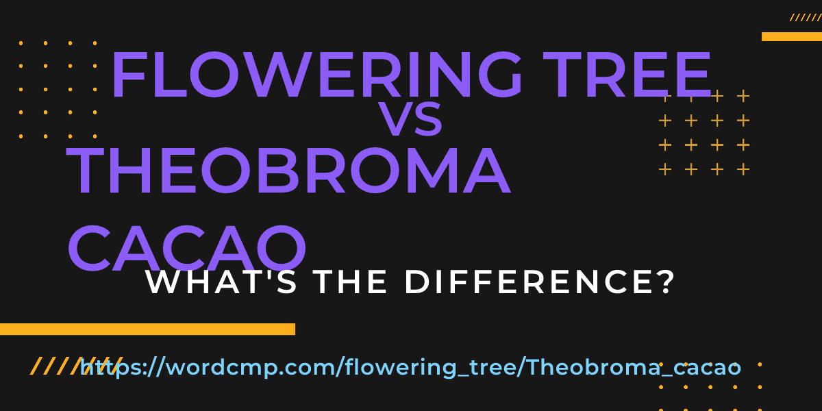 Difference between flowering tree and Theobroma cacao