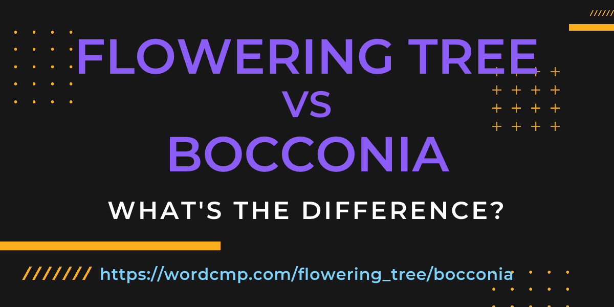 Difference between flowering tree and bocconia