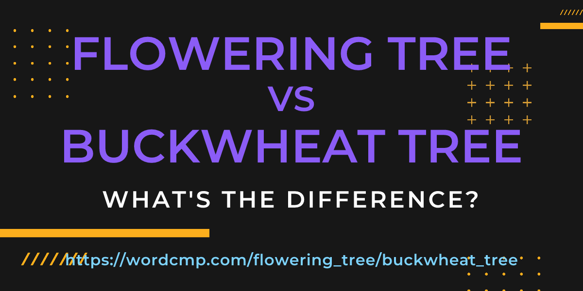 Difference between flowering tree and buckwheat tree