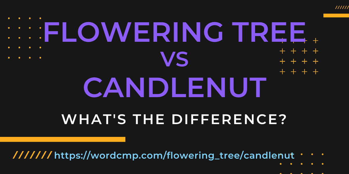 Difference between flowering tree and candlenut