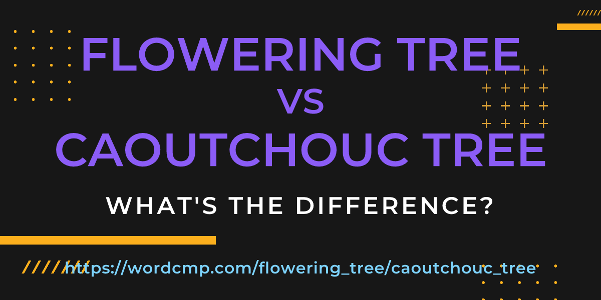 Difference between flowering tree and caoutchouc tree
