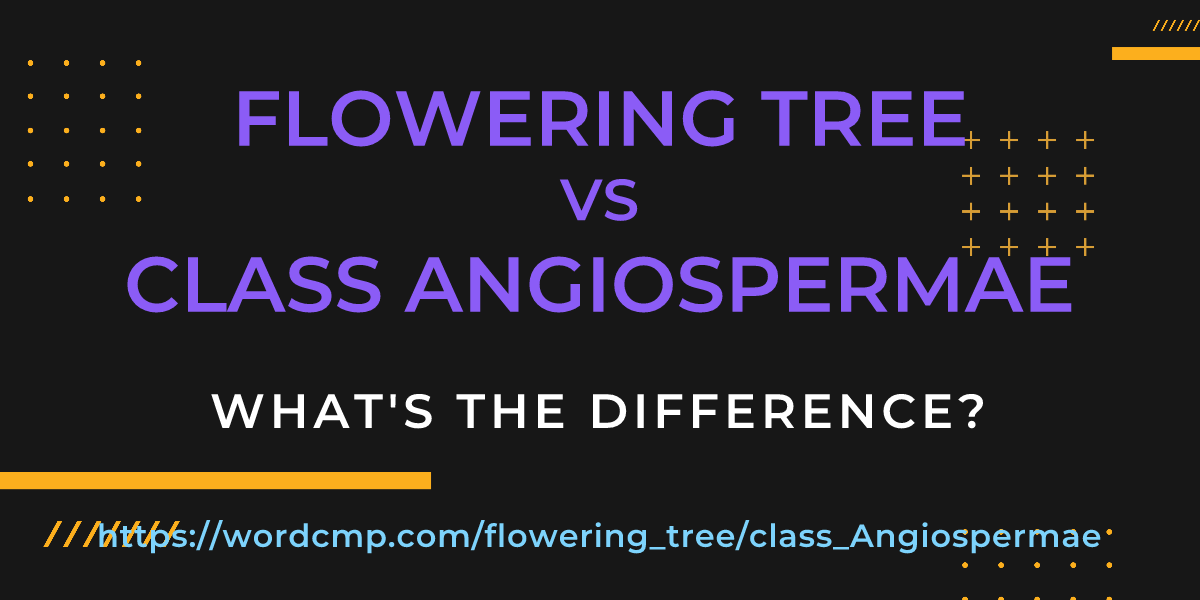 Difference between flowering tree and class Angiospermae