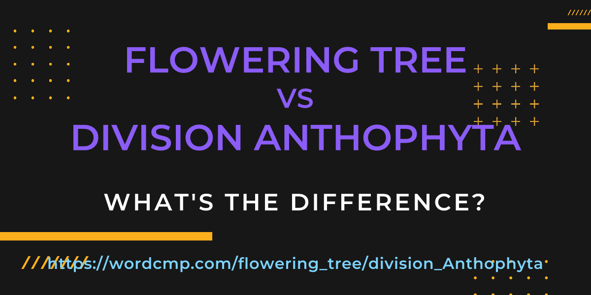 Difference between flowering tree and division Anthophyta